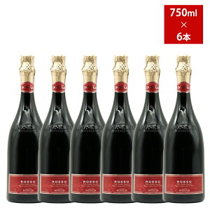 �y6�{�Z�b�g�z�m���A���R�[�� �h�l�� �O���[�v ���b�\ �X�p�[�N�����O�W���[�X(�X�J���G�b�e�B�{�g��) �C�^���A �G�~���A ���}�[�j�� 750mlDonelli Grape Sparkling juice Rosso Scaglietti bottle 750ml