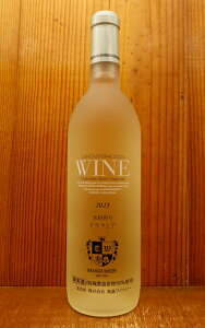  X fEFA Be[W 2024 YL@͔| fEFA100% `@ Ci[l  ɊÌTakahata Winery Cryo-Extraction Delaware Grown Specialy Wine 2024