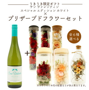 yMtgzT @eB XyV GfBV zCg 2023Iׂ vU[uht[Zbg  t[ Mtg v[g 蕨 a j j 