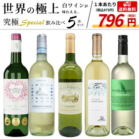 【送料無料】当店厳選！世界の白ワインが味わえる！超極上辛口白ワイン究極スペシャル飲み比べ5本セット