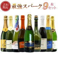 【送料無料】 ワインセット 第1弾！最強スパークリングワインセット 泡三昧 豪華高級泡 辛口 スパークリ…