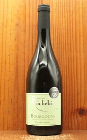 ブルゴーニュ シャルドネ ヴィエイユ ヴィーニュ クロ サン ジェルマイン 2023 ドメーヌ ロシュバン フランス ブルゴーニュ マコネ シャロネーズ AOCブルゴーニュ シャルドネBourgogne Chardonnay Clos Saint - Germain Vieilles Vignes 2023 Domaine de Rochebin