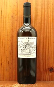 �J�X�e�b�� �f�B �Z���F���[�m �v�[���A �r�A���R 2025�N �e�A�k���� 750ml �����C�� �h�� �C�^���A �v�[���A IGT�v�[���A �r�A���RCastelli Di Severino Puglia Bianco 2025 Teanum IGTPuglia Bianco�yeu_ff�z