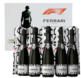 【専用豪華箱入】フェッラーリ F1 リミテッド エディション シティボトルスペシャルセット F1公式スパークリングワインに選出！ 750ml×5種Ferrari F1 Limited Edition Brut Blanc de Blanc Sparkling City Bottle Special SET DOC Trento (V.S.Q.P.R.d TALENTO)