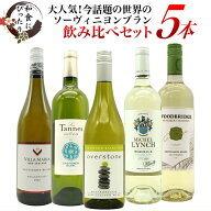 【送料無料】和食にぴったり 今話題の大人気ソーヴィニヨンブラン 世界のソーヴィニヨン飲み比べ5本セッ…