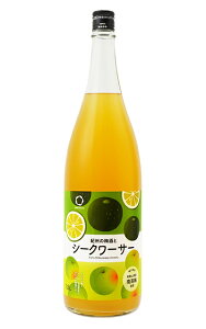 BC IB̔~ƃV[N[T[ 1.8L