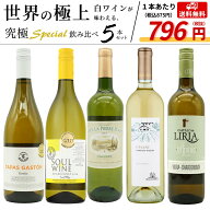 【送料無料】当店厳選！世界の白ワインが味わえる！超極上辛口白ワイン究極スペシャル飲み比べ5本セット