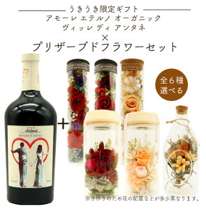 yMtgzA[ Gem I[KjbN Bb fB A^l Iׂ vU[uht[Zbg  t[ Mtg v[g 蕨 a j j ̓