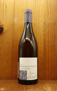 �u���S�[�j�� �A���S�e �� �N���[ �G �� �v������ 2022 ���o������i �h���[�k �A�j�F�X �p�P���lBourgogne Aligote Le Clou et La Plume 2022 Domaine Agnes Paquet