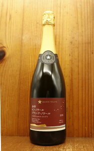 O|[ ]s sm m[ u h m[gfBVi [2020]N gfBVi \bh sm m[Grande Polaire YOICHI Pinot Noir Blanc de Noirs Traditional Method 2020