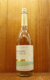 グランポレール 余市ぶどうのスパークリング 日本ワインスパークリングワイン(北海道余市産100%ケルナー種バッカス種 ミュラートゥルガウ種Grande Polaire Yoichi Grapes Sparkling HOKKAIDOU YOICHI 100%