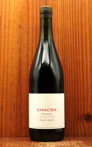 y׎攭z`N VNG^ C VR55 2023 o {fK `N(TbVJCA)l sm m[100 ELbv  hChacra Cincuenta Y Cinco 55 2023 Bodega Chacra