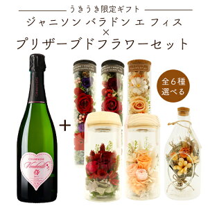 yMtgzWj\ o h G tBXIׂvU[uht[Zbg  t[ Mtg v[g 蕨 a j j ̓ C  Zbg