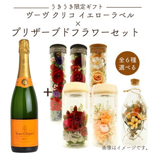 yMtgz[ NR CG[x Iׂ vU[uht[Zbg  t[ Mtg v[g 蕨 a j j ̓ C  Zbg