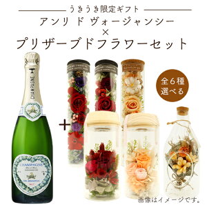 yMtgzA h H[WV[Iׂ vU[uht[Zbg  t[ Mtg v[g 蕨 a j j ̓ C  Zbg