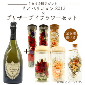 yMtgzh yj 2015 Iׂ vU[uht[Zbg  t[ Mtg v[g 蕨 a j j ̓ C  Zbg