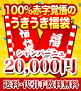 【送料・代引手数料どど〜んと当店負担！】うきうき福袋2万円de超希少シャンパーニュ4本セット【福袋2021】【初売りセ…