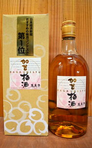 ̔~@ݍΊy̖k̗LnIݍΊyRő邫ꂢȖ킢̓ʔ~II t () Mtg