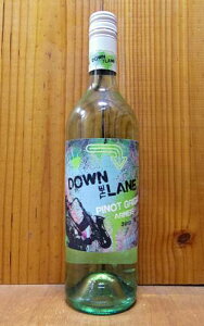 y500~N[|z_E U [ sm O[WI AlCX 2020 f {g I[XgA C C h 750mlDown the Lane Pinot Grigio Arneis 2020 De Bortoli