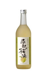 南部の梅酒 和歌のめぐみ 和リキュール 世界一統 720ml