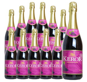 y 12{ZbgzP[ bh O[v Xp[NO t[cʏ`100W[X iԃuhE100sAXg[gW[Xj 100Xg[gW[X iZkҌł͂܂