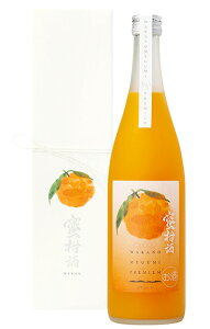 yKi zEꓝ â̂߂ v~A  n[hJ[ { 720ml ϔ Mtg{bNX