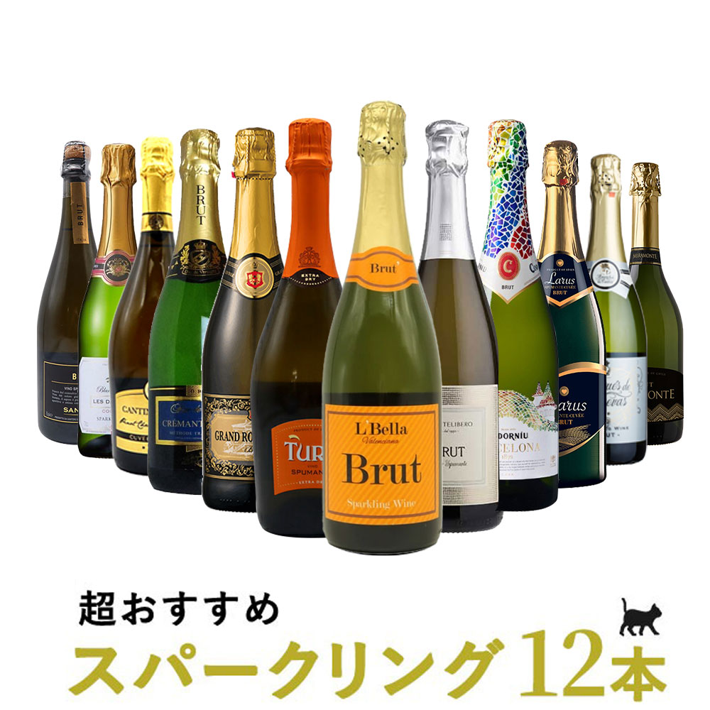 タイムセールうきたまシリーズ  スパークリング12本 ワインセット シャンパン スパークリングワイン 泡 辛口 瓶内二次発酵 カヴァ クレマンTAMATEBAKO UKITAMA 12 botolles set