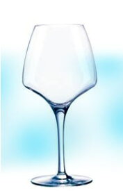 シェフ&ソムリエ フランス製ワイングラス オープンナップ プロテイスティング32