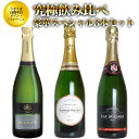 【送料無料】うきうき高級辛口有名メゾン シャンパーニュ究極飲み比べ豪華スペシャル3本セット 白 泡 シャンパン 750ml×3