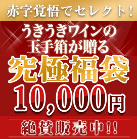 うきうきスーパーセール限定福袋うきうき福袋1万円de辛口赤・白ワイン10本セット