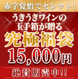 うきうきスーパーセール限定福袋うきうき福袋1万5千円de辛口赤・白ワイン10本セット