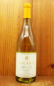 \X Ȑ Vhl rIWbN 2021 쌧sʕ{Y Rh rIWbN L@uhE MBCi[l {CSolaris Chikumagawa Chardonnay Biologique 2021 Komoro Winery