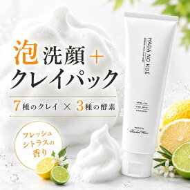 HADA NO KOE ハダノコエ ミネラルリッチクレイウォッシュ 洗顔 クレイ洗顔 クレイパック 泥洗顔 酵素洗顔 毛穴 角質 くすみ くちゃ クレイ 7種のクレイ 海洋深層水