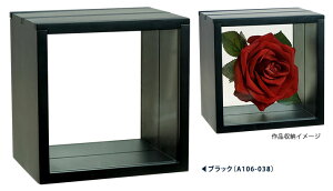 ̊z {bNXt[ ̃t[ L[ut[ {bNX^t[ 3XChBOX t[g 15p ubNEzCgEi`  z t[ z CeA ̊z 