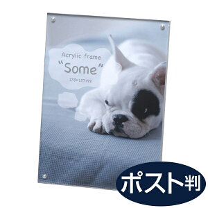 ANt[ some T KG |XgJ[h[I102×152 }Olbg^Cv ʐ^ AN  tHgt[ ʐ^ AN  NA  L 