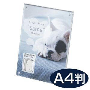 ANt[ some T A4 210 x 297 }Olbg^Cv ʐ^ AN  tHgt[ ʐ^ AN  NA  L 