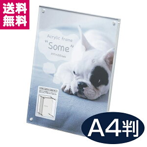 ANt[ some T A4 210 x 297 }Olbg^Cv ʐ^ AN  tHgt[ ʐ^ AN  NA  L y䂤pPbgցzy