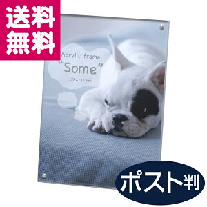 ANt[ some T KG |XgJ[h[I102×152 }Olbg^Cv ʐ^ AN Vv CeA  䂤pPbg 