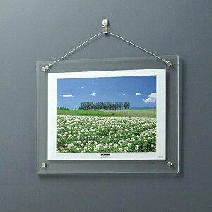 tHgt[ A4 AN sN`[t[ t-ACH-A4 ʐ^z Ǌ|^Cv iJoV 󔭒i