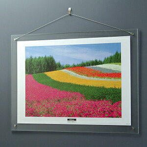 y󔭒izAN sN`[t[ ʐ^z Ǌ|^Cv A2vgp t-ACH-A2 iJoV