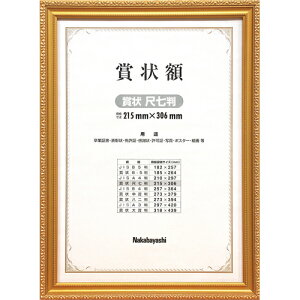 y󔭒iziJoV ؐ ܏z PV ܏A4 ڎ t-KW-203-H ϔ