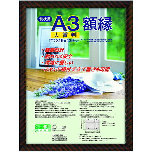 y󔭒iz܏z ܔ bN  t-KWP-21/V iJoV