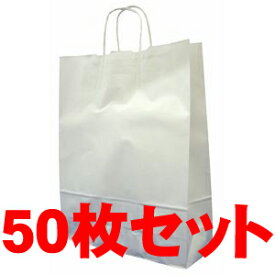 白無地 大 クラフト手さげ袋 ◆50枚セット