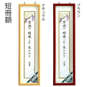 iJoV ZzioEŹEoEji` t-CW-150-N/uE t-CW-150BR y󔭒iz