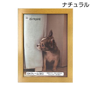 tHgt[ B5  C^ ai FRAME OAt[ Ǌ| u^ sN JOA-B5-P uE JOA-B5-BR i` JOA-B5-NA zCg JOA-B5-W iJoV 󔭒i