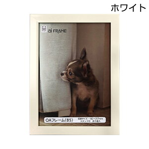 �t�H�g�t���[�� B5 ������ �C���^ ai FRAME OA�t���[�� �Ǌ|�� �u���^ �s���N JOA-B5-P �u���E�� JOA-B5-BR �i�`������ JOA-B5-NA �z���C�g JOA-B5-W �i�J�o���V �󔭒����i