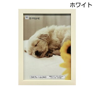 �t�H�g�t���[�� A4 ������ �C���^ ai FRAME OA�t���[�� �Ǌ|�� �u���^ �s���N JOA-A4-P �u���E�� JOA-A4-BR �i�`������ JOA-A4-NA �z���C�g JOA-A4-W �i�J�o���V �󔭒����i