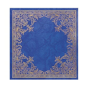 y󔭒iziJoV tXAo t[䎆LTCY u[ At-502-B