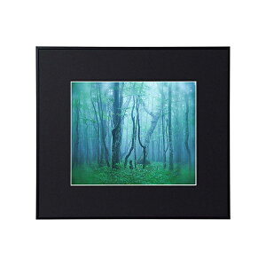 y󔭒izA~z M[ l؂ l AGY-4 ubN/Vo[/i` PR[EgLi[