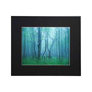 y󔭒izA~z M[  AGY-H ubN/Vo[/i` PR[EgLi[